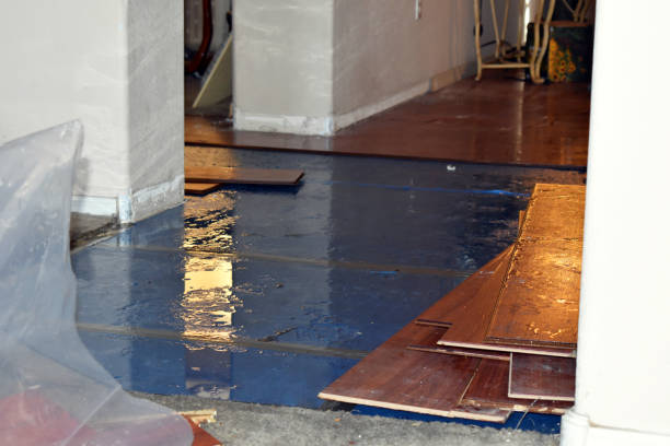Professional Sewage Cleanup technician working in Munger, MI